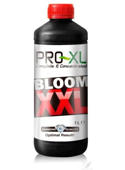 PRO XL BLOOM XXL 1L