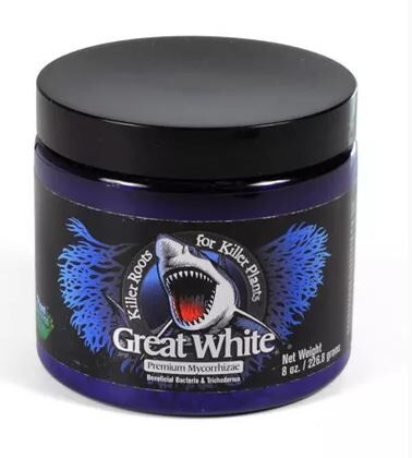 GREAT WHITE PREMIUM MICORRIZA 113,4GR