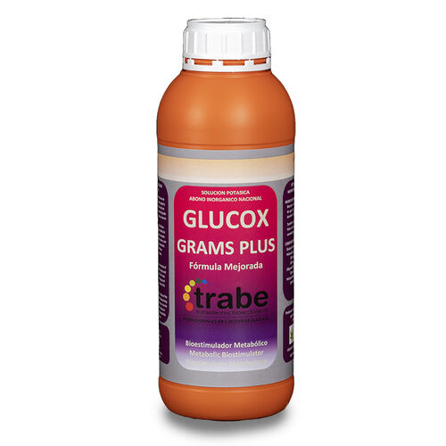 GLUCOX GRAMS PLUS 1L