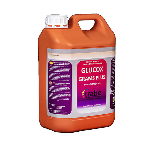 GLUCOX GRAMS PLUS 5L