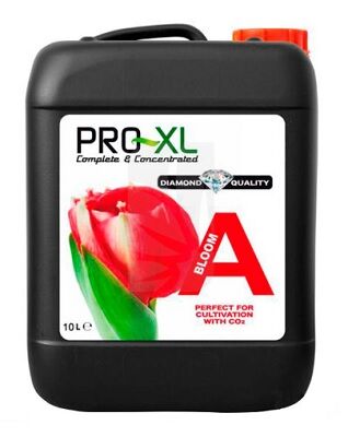 PRO XL BLOOM A 10L