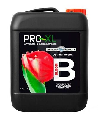 PRO XL BLOOM B 10L