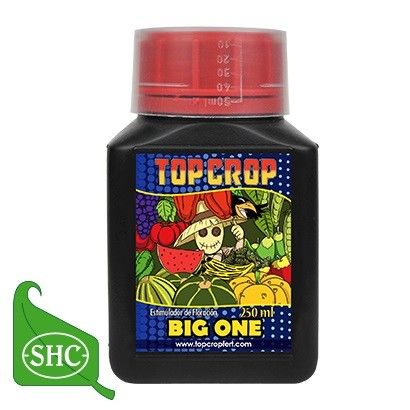 TOP CROP BIG ONE 250ML