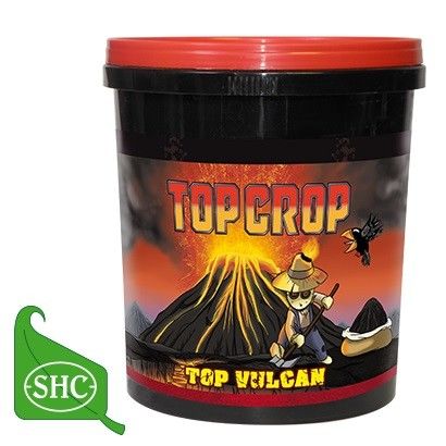 TOP CROP TOP VULCAN 700 GR