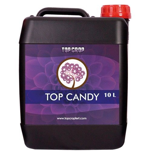 TOP CROP TOP CANDY 10L